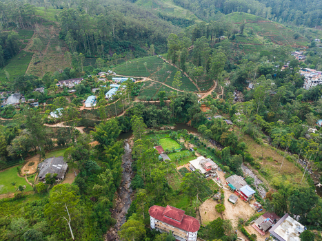 Aerial view of lush tea plantations on rolling hills scattered houses and a winding stream surrounded by dense tropical trees in Nallathanniya Central Province Sri Lanka. Aerial view of lush tea plantations on rolling hills scattered houses and a winding stream surrounded by dense tropical trees in Nallathanniya Central Province Sri Lanka.