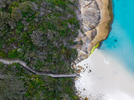 Aerial view of Frenchman Bay showing the wooden staircase leading down to the white sand beach turquoise water and dense coastal vegetation Albany Western Australia Australia. Aerial view of Frenchman Bay showing the wooden staircase leading down to the white sand beach turquoise water and dense coastal vegetation Albany Western Australia Australia.