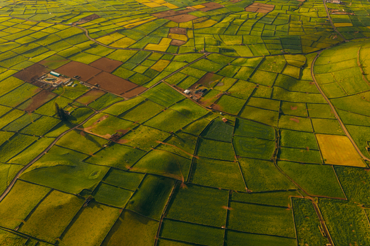 Aerial view of Pico Dona Joana geodesico and the patchwork of agricultural fields divided by stone walls under golden hour light in Feteira Acores Portugal. Aerial view of Pico Dona Joana geodesico and the patchwork of agricultural fields divided by stone walls under golden hour light in Feteira Acores Portugal.