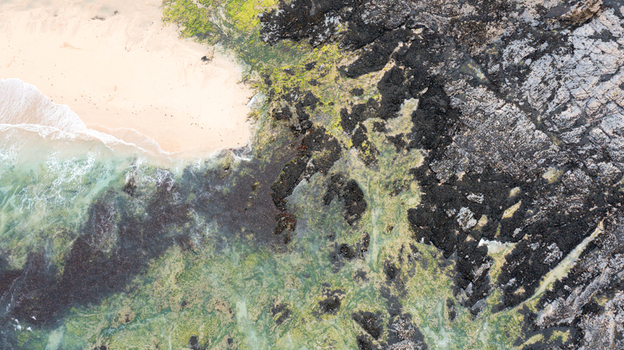 Aerial view of Constantine Bay featuring a sandy beach meeting dark jagged rocks covered in green algae and turquoise water in Padstow Cornwall United Kingdom. Aerial view of Constantine Bay featuring a sandy beach meeting dark jagged rocks covered in green algae and turquoise water in Padstow Cornwall United Kingdom.