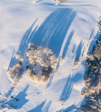 Aerial view of snow covered landscape with frost covered trees casting long shadows in the winter sun in Latvia. Aerial view of snow covered landscape with frost covered trees casting long shadows in the winter sun in Latvia.