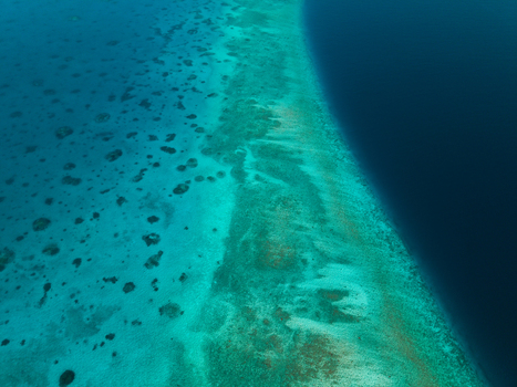 Aerial view of the mesmerizing turquoise waters meeting the deep blue sea creating a breathtaking contrast of colors and textures Vashafaru Island Maldives.