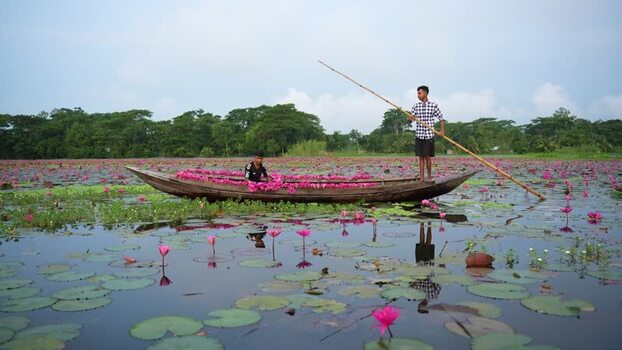 View of fishermen on a boat in a water lily pond Bangladesh. View of fishermen on a boat in a water lily pond Bangladesh.