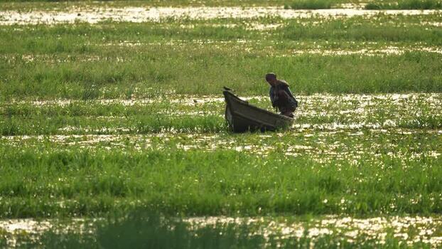 View of a fisherman in a wooden boat in a flooded field Bangladesh.