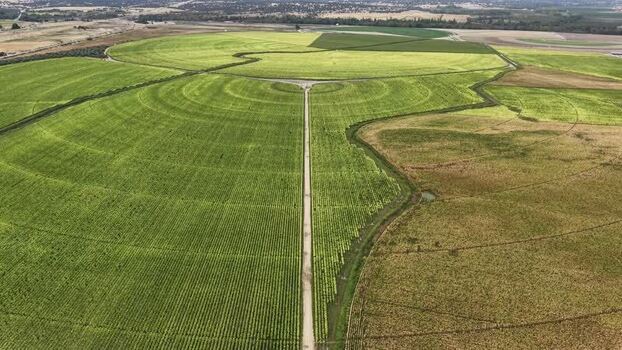Aerial view of circular irrigation fields in Talayuela Spain. Aerial view of circular irrigation fields in Talayuela Spain.