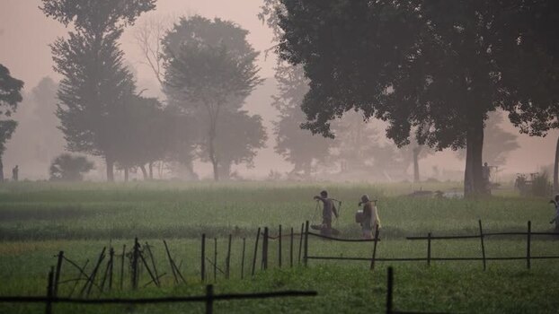 View of farmers walking through misty green fields in Bogura Bangladesh.