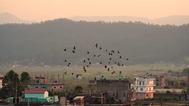 View of a flock of birds flying over a town with hills Nepal.