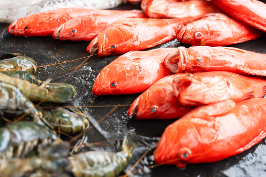 View of fresh red fish and large prawns displayed on a dark wet surface at a local market in Galle Southern Province Sri Lanka. View of fresh red fish and large prawns displayed on a dark wet surface at a local market in Galle Southern Province Sri Lanka.