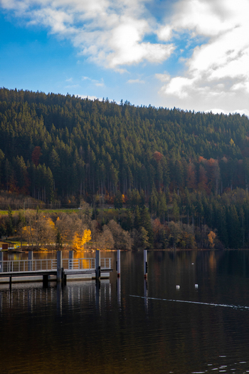 View of a wooden pier on the calm waters of a lake surrounded by a dense evergreen forest with autumn foliage under a cloudy sky Breitnau Baden Wurttemberg Germany. View of a wooden pier on the calm waters of a lake surrounded by a dense evergreen forest with autumn foliage under a cloudy sky Breitnau Baden Wurttemberg Germany.