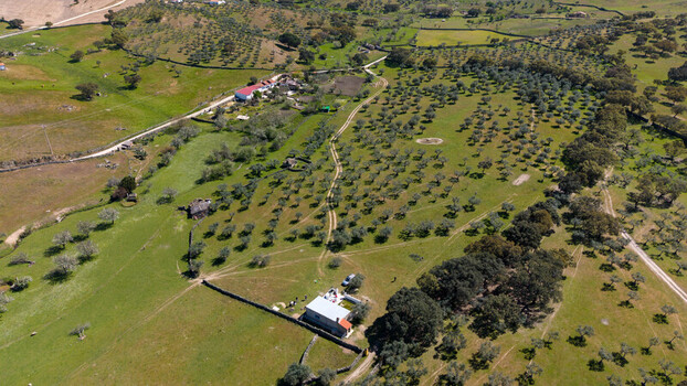 Aerial view of a serene landscape where green meadows meet clusters of olive trees dotted with quaint buildings under the vast sky Navas del Madrono Extremadura Spain.