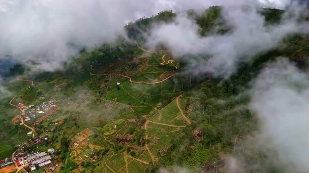 Aerial view of tea plantations in the mountains of Sri Lanka.