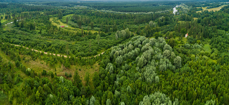 Aerial view of a lush green forest landscape featuring dense woodland a winding dirt road and open grassy clearings in Latvia. Aerial view of a lush green forest landscape featuring dense woodland a winding dirt road and open grassy clearings in Latvia.
