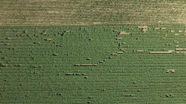 Aerial view of agricultural fields in Novi Sad Serbia. Aerial view of agricultural fields in Novi Sad Serbia.