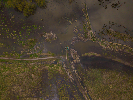 Aerial view of Doxey Marshes featuring winding water channels lush green wetlands and a small bird hide structure in Stafford England United Kingdom. Aerial view of Doxey Marshes featuring winding water channels lush green wetlands and a small bird hide structure in Stafford England United Kingdom.