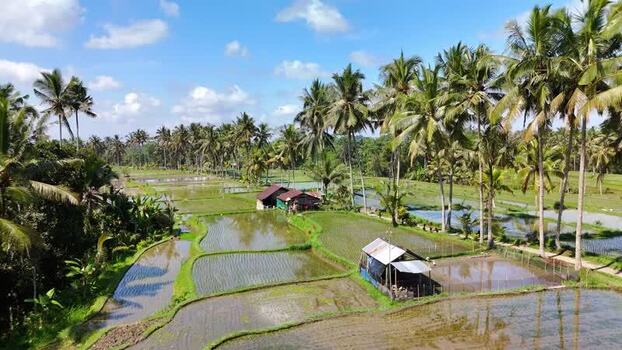 Aerial view of Banjar mancingan Rice trekking in Bali Indonesia. Aerial view of Banjar mancingan Rice trekking in Bali Indonesia.