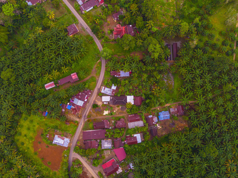 Aerial view of Taba Tembilang surrounded by lush palm oil plantations and rural houses along a winding road in Arga Makmur Bengkulu Indonesia.