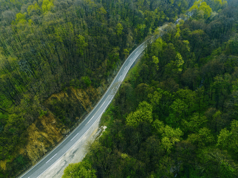 Aerial view of a winding asphalt road cuts through a dense verdant forest a stark contrast to the dark shadows beneath the canopy Novi Sad Vojvodina Serbia. Aerial view of a winding asphalt road cuts through a dense verdant forest a stark contrast to the dark shadows beneath the canopy Novi Sad Vojvodina Serbia.