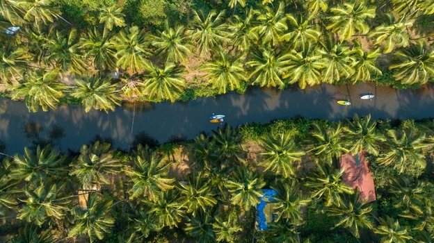 Aerial view of Cola Beach featuring a serene river winding through dense palm tree groves with colorful kayaks floating on the water in Kola Goa India. Aerial view of Cola Beach featuring a serene river winding through dense palm tree groves with colorful kayaks floating on the water in Kola Goa India.