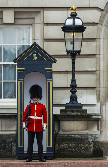 London England United Kingdom 09 May 2019 View of a King s Guard in a traditional red tunic and bearskin hat standing at attention inside a sentry box at Buckingham Palace. London England United Kingdom 09 May 2019 View of a King s Guard in a traditional red tunic and bearskin hat standing at attention inside a sentry box at Buckingham Palace.