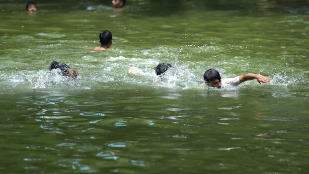 View of people swimming in a green pond in Bogura Bangladesh. View of people swimming in a green pond in Bogura Bangladesh.