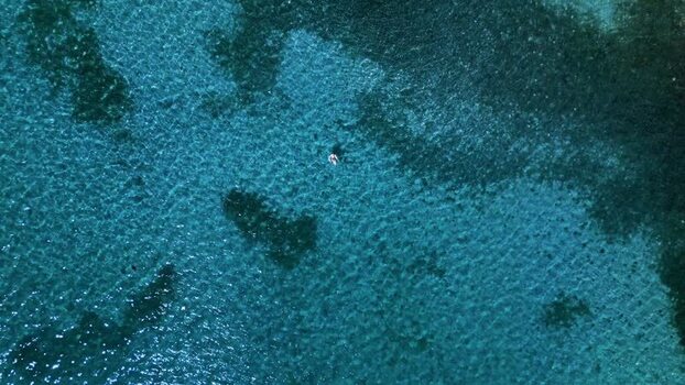 Aerial view of a person swimming in turquoise water Honduras. Aerial view of a person swimming in turquoise water Honduras.