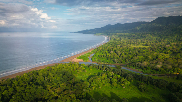 Aerial view of where the lush rainforest meets the tranquil ocean along the coast a vibrant tapestry of green and blue under a soft sky Uvita Puntarenas Province Costa Rica. Aerial view of where the lush rainforest meets the tranquil ocean along the coast a vibrant tapestry of green and blue under a soft sky Uvita Puntarenas Province Costa Rica.