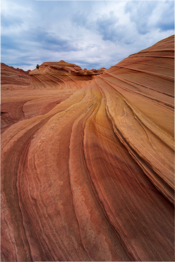 View of The Wave sandstone rock formation with undulating orange layers under a cloudy sky in Kanab Arizona United States. View of The Wave sandstone rock formation with undulating orange layers under a cloudy sky in Kanab Arizona United States.
