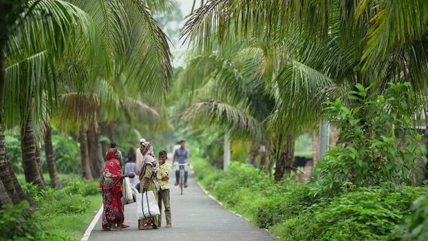 View of people on a rural road lined with palm trees Bangladesh. View of people on a rural road lined with palm trees Bangladesh.
