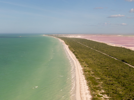 Aerial view of Las Coloradas salt lakes featuring vibrant pink water pools adjacent to a sandy beach and turquoise ocean separated by lush green vegetation in Las Coloradas Yucatan Mexico.