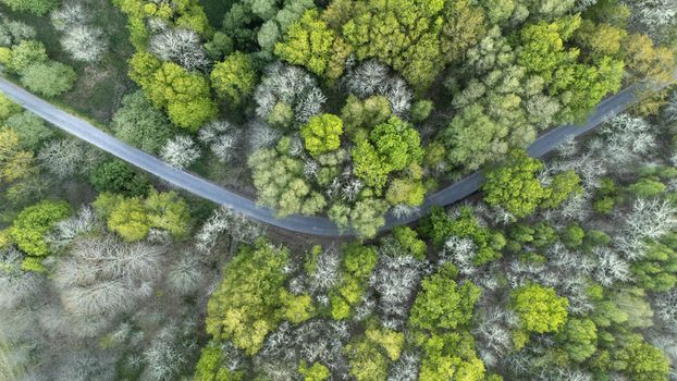 Aerial view of a winding asphalt road cutting through a dense forest with vibrant green and silvery deciduous trees in Ourense Province of Ourense Spain. Aerial view of a winding asphalt road cutting through a dense forest with vibrant green and silvery deciduous trees in Ourense Province of Ourense Spain.