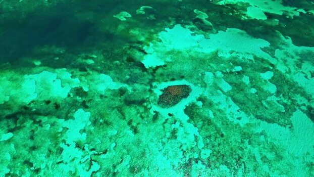 Aerial view of coral reefs and turquoise water Honduras. Aerial view of coral reefs and turquoise water Honduras.