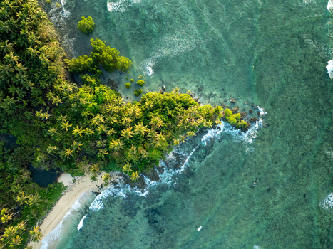 Aerial view of Mahaybo Beach with lush palm trees tropical vegetation and turquoise water along the coastline in General Luna Caraga Philippines. Aerial view of Mahaybo Beach with lush palm trees tropical vegetation and turquoise water along the coastline in General Luna Caraga Philippines.
