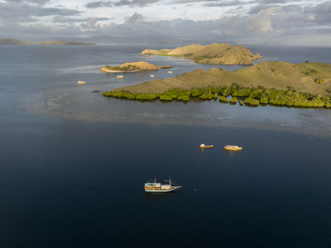Aerial view of Komodo Island with traditional wooden boats sailing on calm blue waters near lush green hills and mangroves at sunset in Komodo East Nusa Tenggara Indonesia.