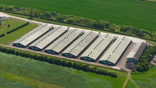 Aerial view of a large poultry farm with several long green roofed sheds surrounded by lush green agricultural fields and trees in Kettering England United Kingdom. Aerial view of a large poultry farm with several long green roofed sheds surrounded by lush green agricultural fields and trees in Kettering England United Kingdom.