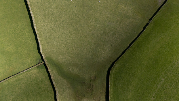 Aerial view of verdant fields divided by dark linear hedges casting shadows and creating a textured tapestry from above England United Kingdom. Aerial view of verdant fields divided by dark linear hedges casting shadows and creating a textured tapestry from above England United Kingdom.