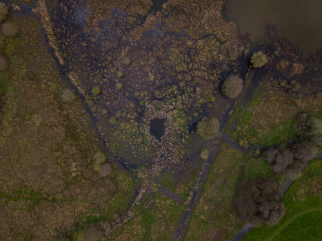 Aerial view of Doxey Marshes featuring wetlands marshy vegetation small pools of water and scattered trees in Stafford England United Kingdom. Aerial view of Doxey Marshes featuring wetlands marshy vegetation small pools of water and scattered trees in Stafford England United Kingdom.