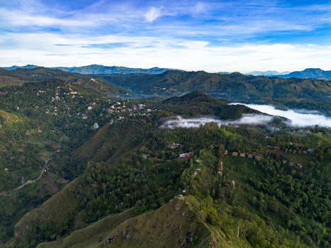 Aerial view of Little Adam s Peak surrounded by lush green mountains tea plantations and low hanging clouds under a bright blue sky in Badulla Uva Province Sri Lanka. Aerial view of Little Adam s Peak surrounded by lush green mountains tea plantations and low hanging clouds under a bright blue sky in Badulla Uva Province Sri Lanka.