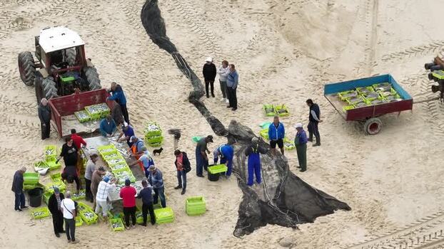 Aerial view of fishermen sorting fish on Praia de Mira Portugal.