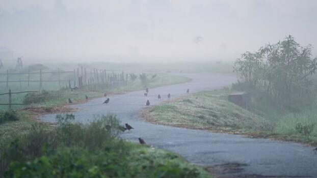 View of a winding road in the morning fog Bangladesh.