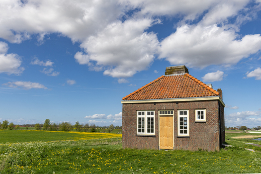 View of the historic brick building of Schokland surrounded by green meadows with yellow wildflowers under a bright blue sky with white clouds Schokland Flevoland Netherlands.