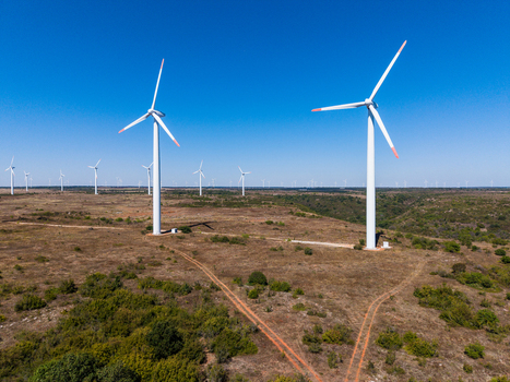 Aerial view of wind turbines standing in the dry landscape of Bolata with dirt paths winding through the fields under a clear blue sky in Dobrich Province Bulgaria.