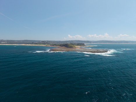 Aerial view of Long Reef Headland surrounded by the blue Pacific Ocean with waves crashing against the rocky shore in Collaroy New South Wales Australia.