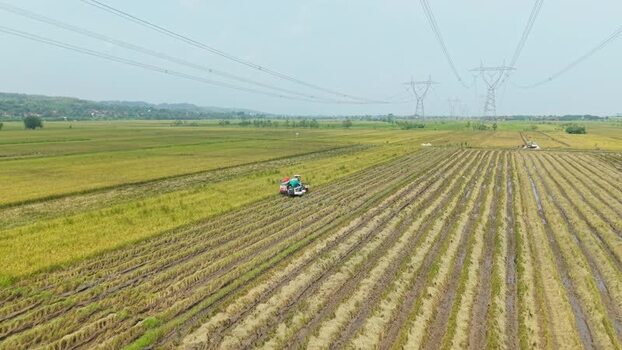 Aerial view of combine harvester on field Indonesia.