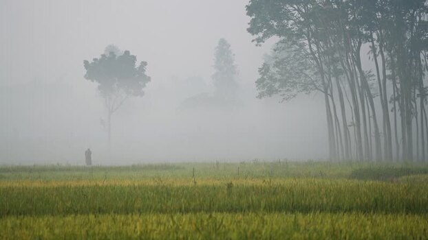 View of a person walking in a foggy field Bangladesh.