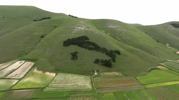 Aerial view of Italy shaped forest in Castelluccio Italy.