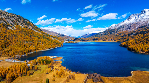 Aerial view of Lake Silvaplana surrounded by vibrant golden larch forests and snow capped mountains under a clear blue sky in Maloja District Grisons Switzerland.