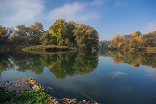 View of a serene mirror like river reflecting the vibrant autumn foliage of the trees under a clear blue sky Bodiky Trnava Region Slovakia. View of a serene mirror like river reflecting the vibrant autumn foliage of the trees under a clear blue sky Bodiky Trnava Region Slovakia.