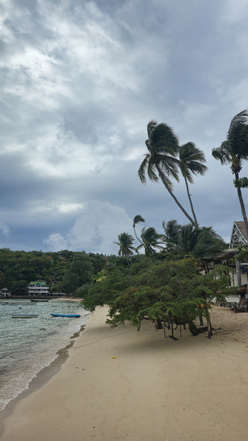 View of the sandy beach at Ko Tao with swaying palm trees lush green trees and small boats floating in the calm water under a cloudy sky in Ko Tao Surat Thani Thailand.