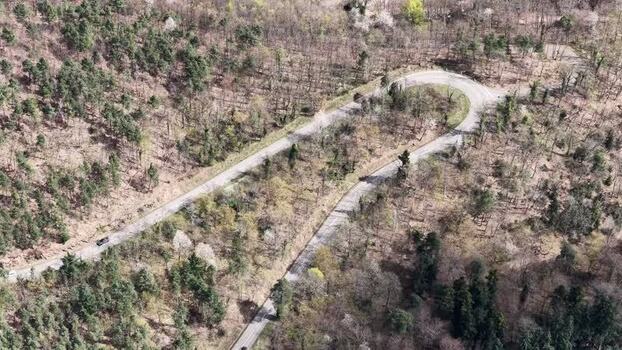 Aerial view of winding road through forest France.