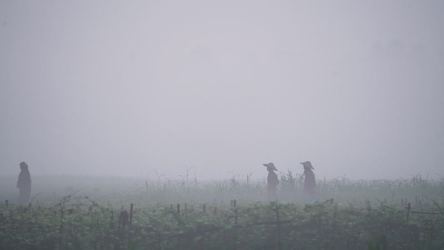 View of farmers walking through thick fog in a field Bangladesh. View of farmers walking through thick fog in a field Bangladesh.